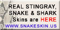 Real Stingray, Snake and Shark Skins