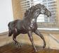 Bronze Horse