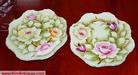 Pair of floral plate