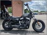 2014 Harley-Davidson Sportster Forty-Eight XL1200