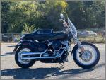 2020 Harley-Davidson Softail Standard FXST