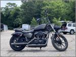 2020 Harley-Davidson Sportster Iron 883 XL883N