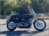 2020 Harl Softail Standard FXST