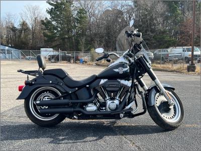 2015 Harley-Davidson Fat Boy Lo FLSTFB 103