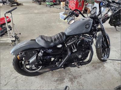 2022 Harley-Davidson Sportster Iron XL883N
