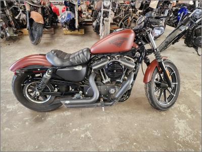 2017 Harley-Davidson Sportster Iron XL883N