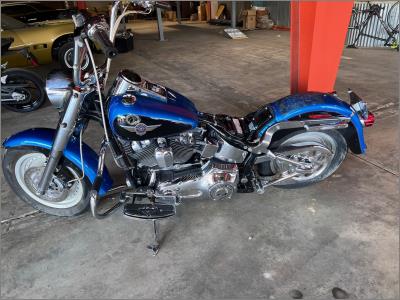2004 Harley-Davidson Fat Boy FLSTFI