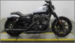 2020 Harley-Davidson Sportster Iron XL883N