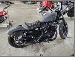 2022 Harley-Davidson Sportster Iron XL883N