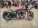 2017 Harley-Davidson Sportster Iron XL883N