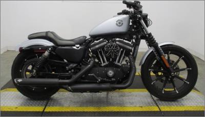 2020 Harley-Davidson Sportster Iron XL883N