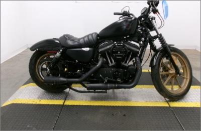 2021 Harley-Davidson Sportster Iron XL883N